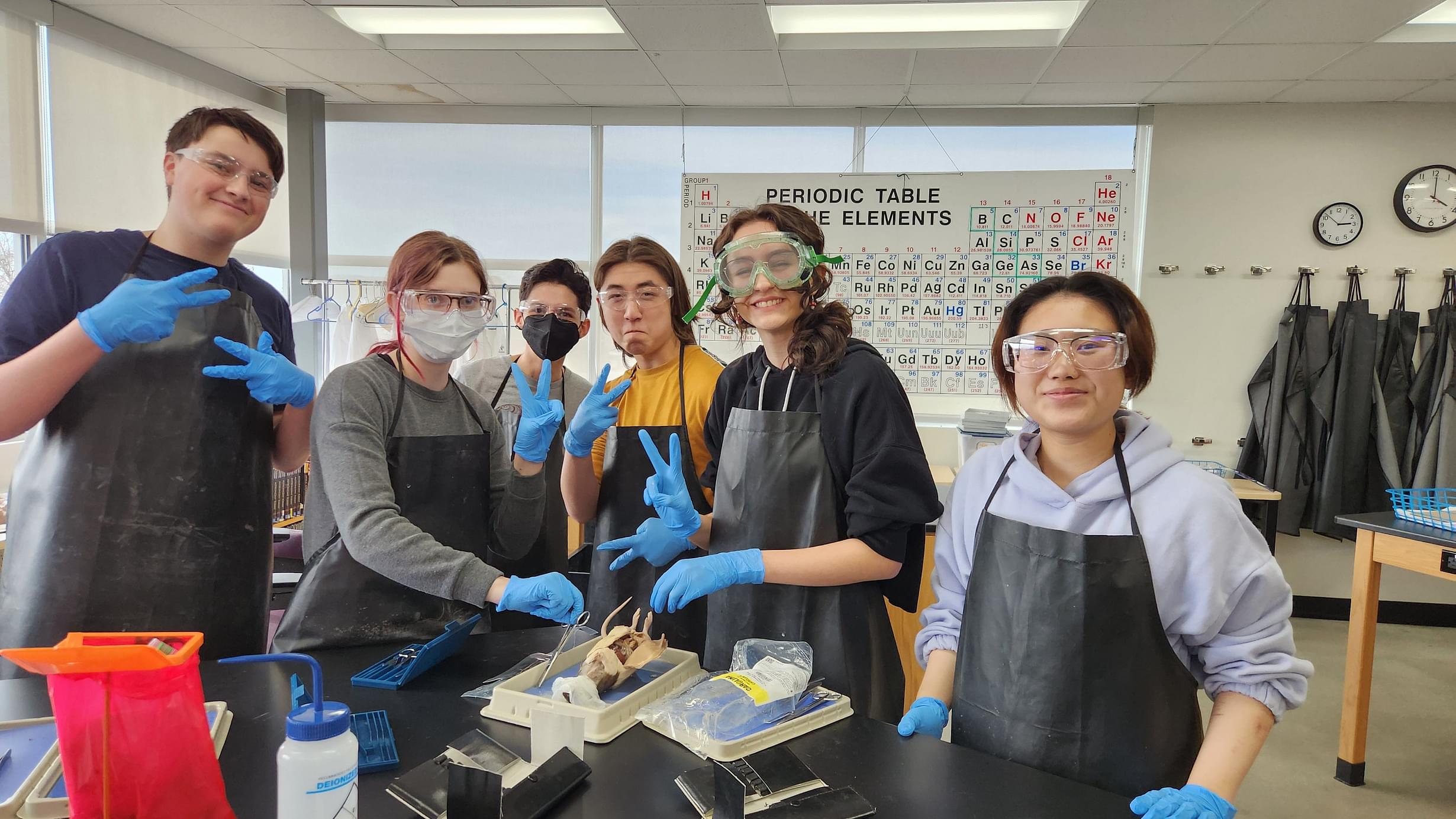  dissecting 