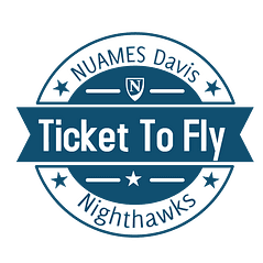 Ticket to Fly Logo