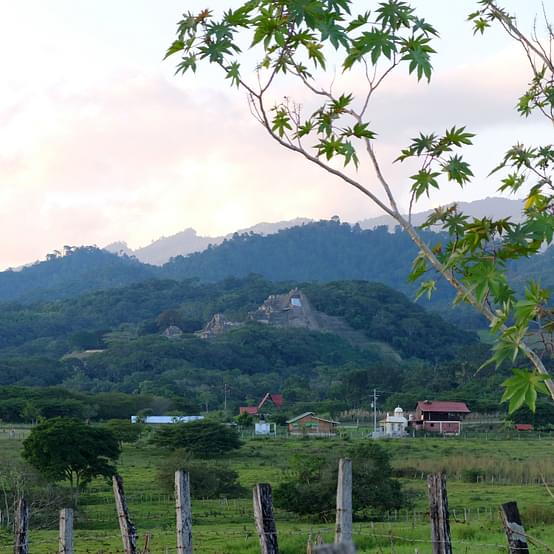 THE REGION