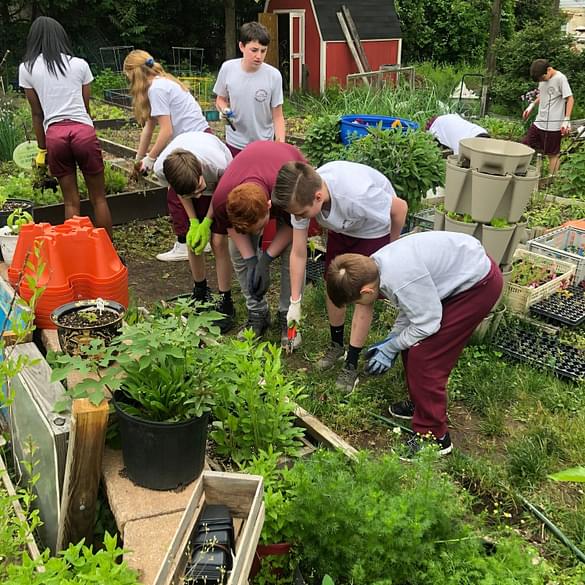 Group of young students gardening
