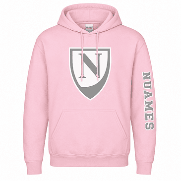 DISCOUNTED - Pink Hoodie