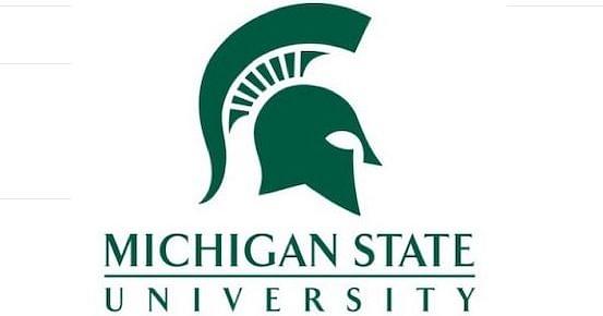 michigan state