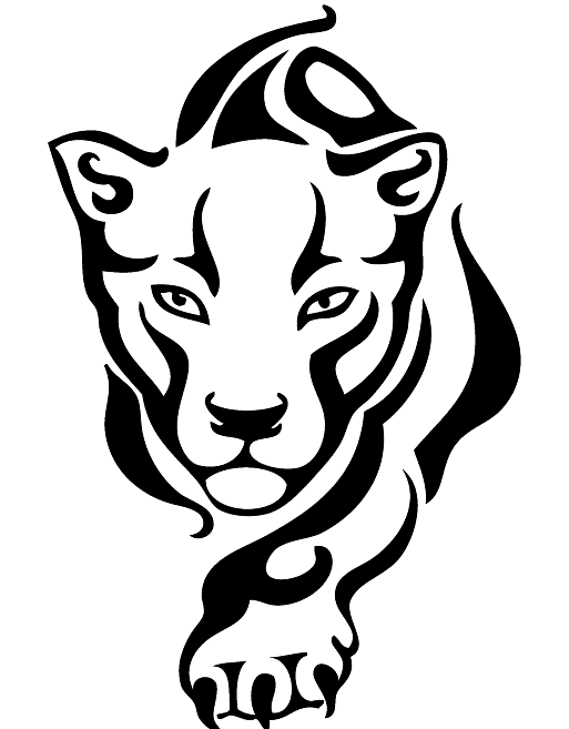 Community Coordinator & Early Childhood Specialist