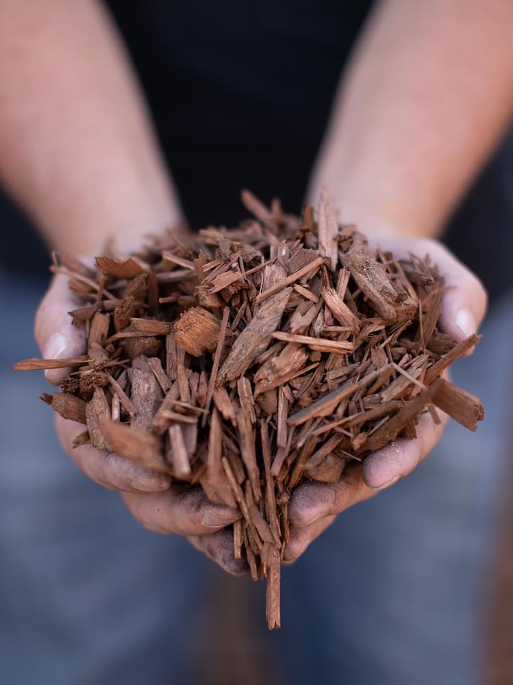 woodscapeofutah | Home