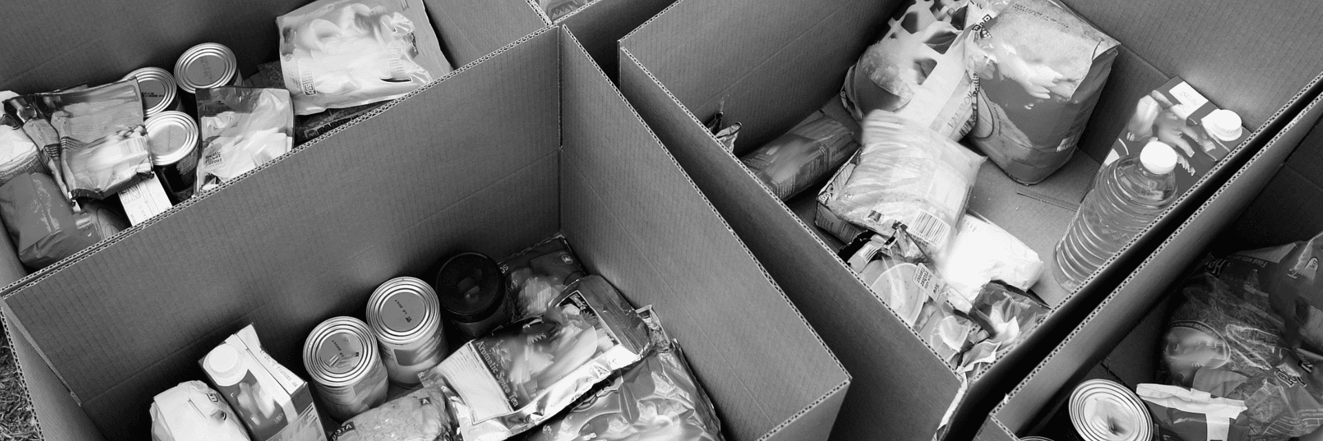 Donated food inside cardboard boxes