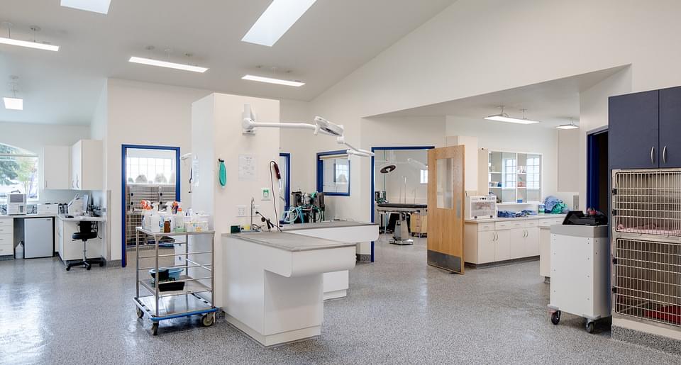 bayview-animal-hospital