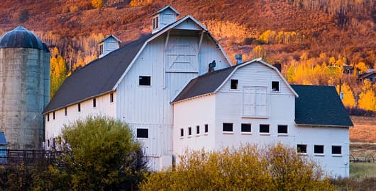 mc-polin-barn