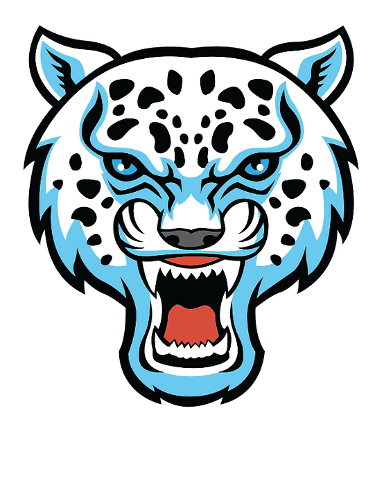 Snow Leopard