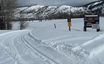 Image-5