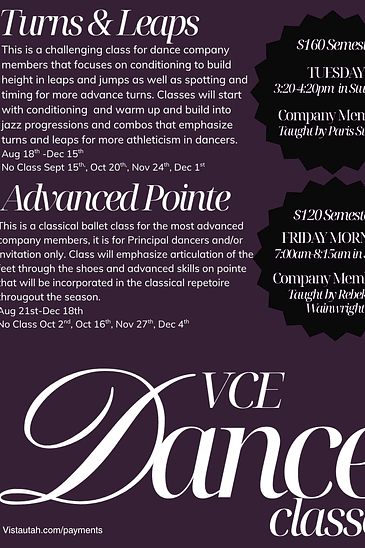 Vista Community Education (VCE) - Turns and Leaps- Dance Company Only