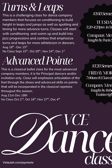 Vista Community Education (VCE) -  Advanced Pointe- Dance Company Only