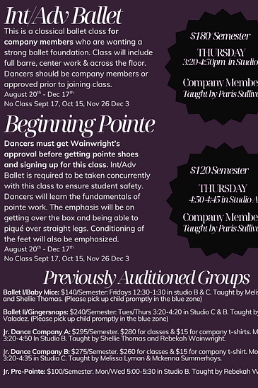 Vista Community Education (VCE) - Intermediate/Advanced Ballet