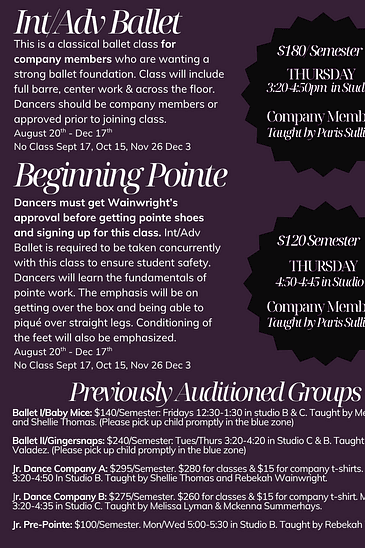 Vista Community Education (VCE) - Beginning Pointe