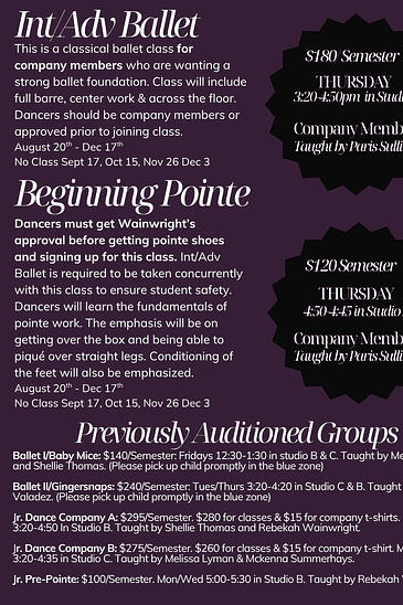 Vista Community Education (VCE) - Ballet1/Baby Mice- By Audition Only