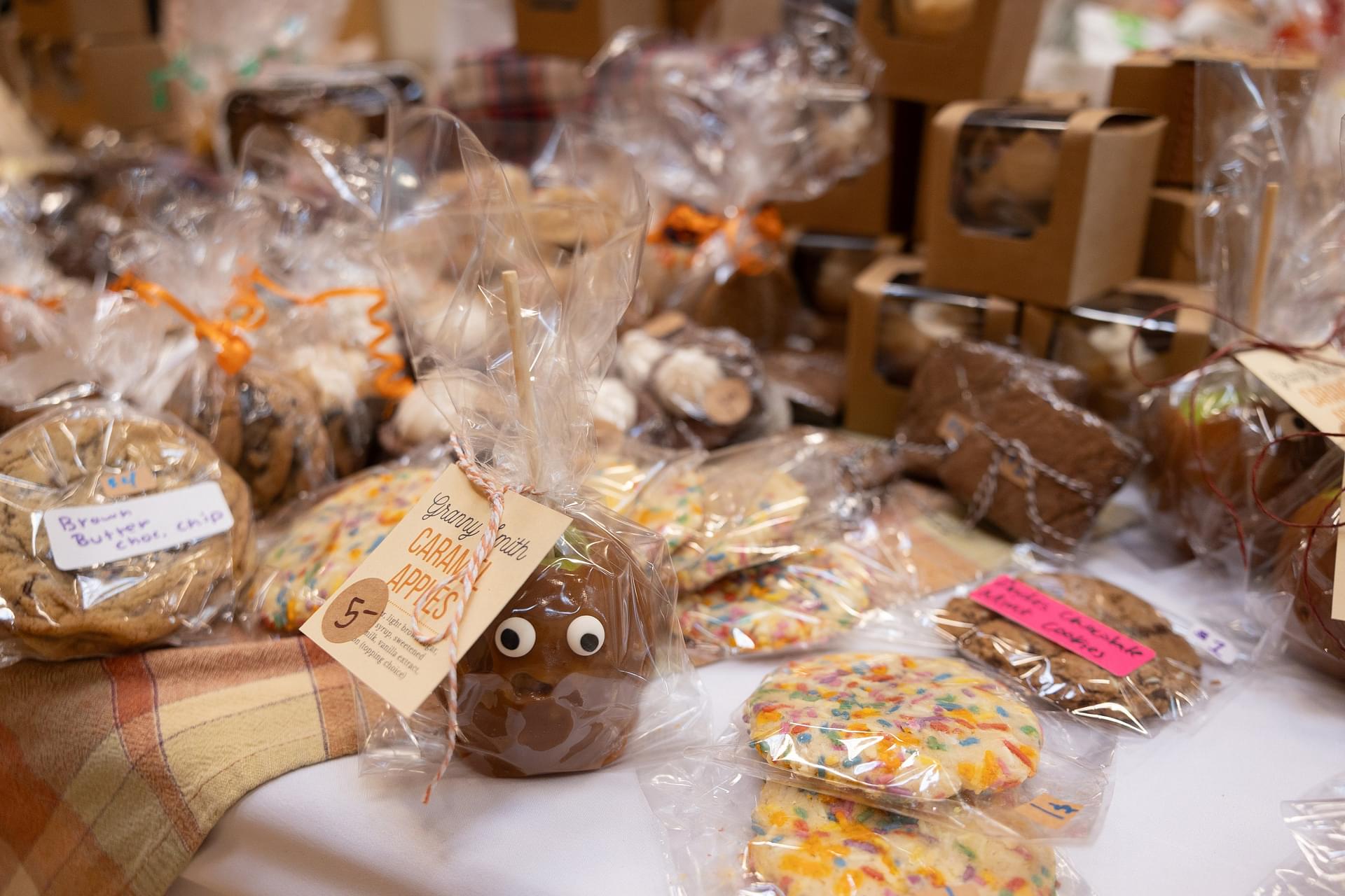 Slider Gallery Image 26