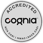  Icon 0 